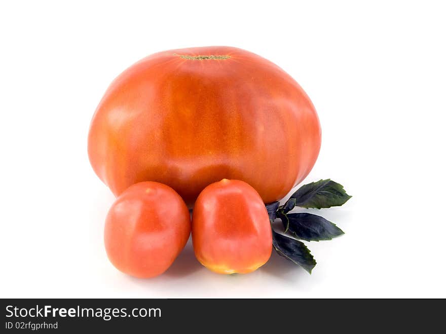 Tomato