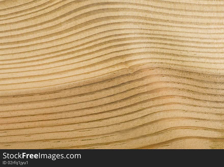 Texture wood