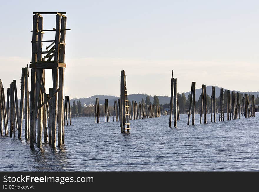 Abandoned pilings near the town of Cusick on the Pend Oreille River left over from early 20th century logging operations.