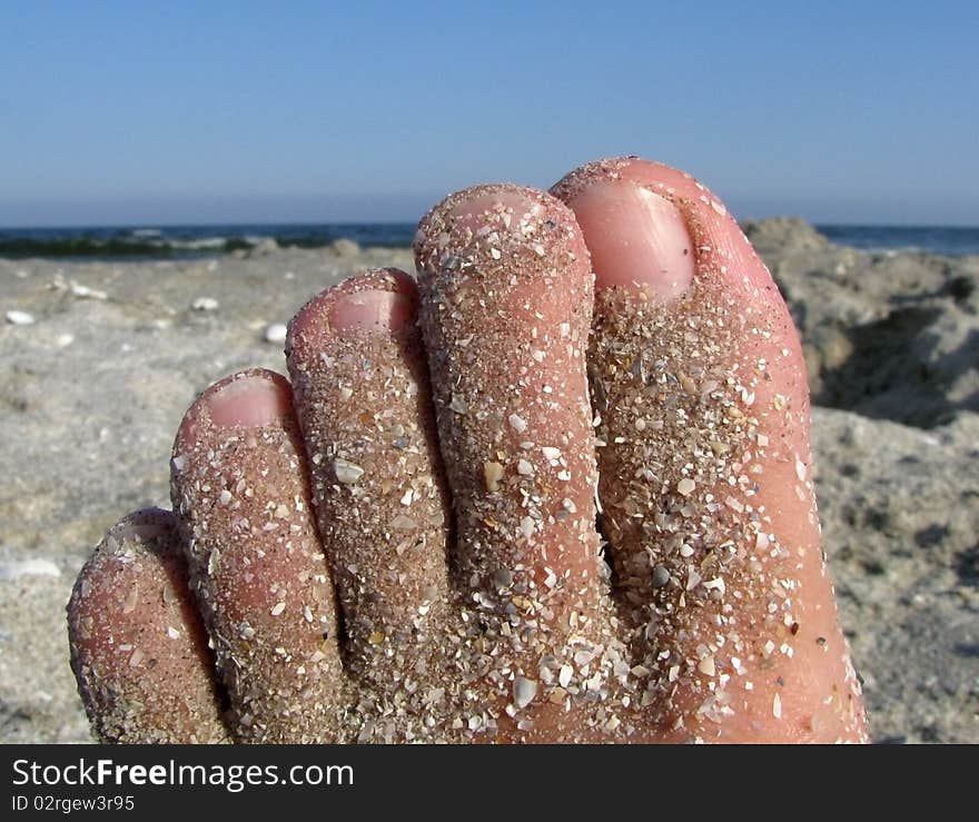 Toes covered by sand at seaside. Summer time, relaxation at the beach. Toes covered by sand at seaside. Summer time, relaxation at the beach.