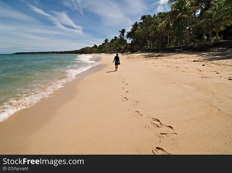 Footsteps of a Girl Walking on a Beach Shore