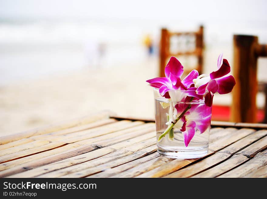 Beauty flower in the glass