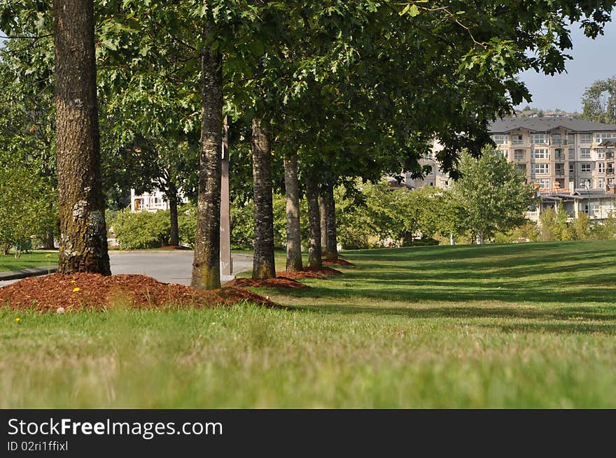 Path through the landscaped park