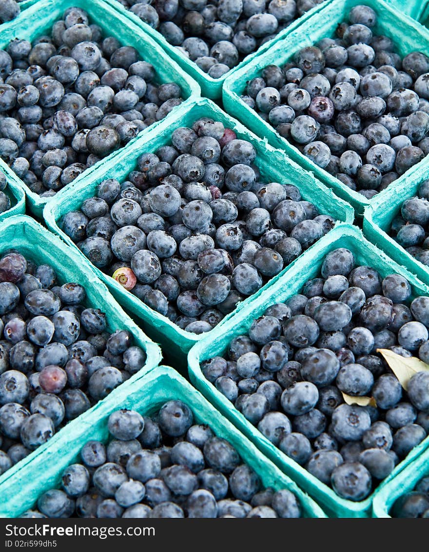 Fresh Bluberries for sale at a local farmer's market. Fresh Bluberries for sale at a local farmer's market