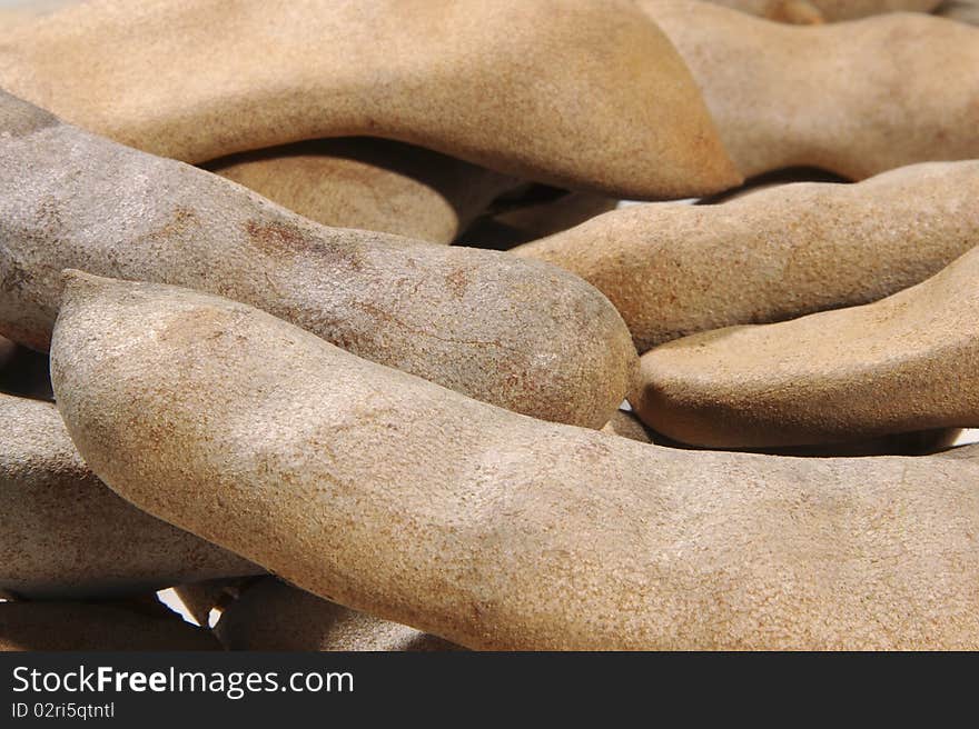 Closeup of fresh tamarind pods