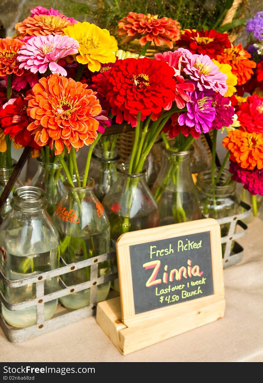 Fresh Zinnias for Sale at a local farmer's market