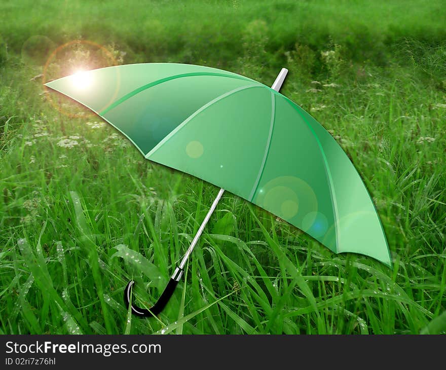 Umbrella  On Green Meadow