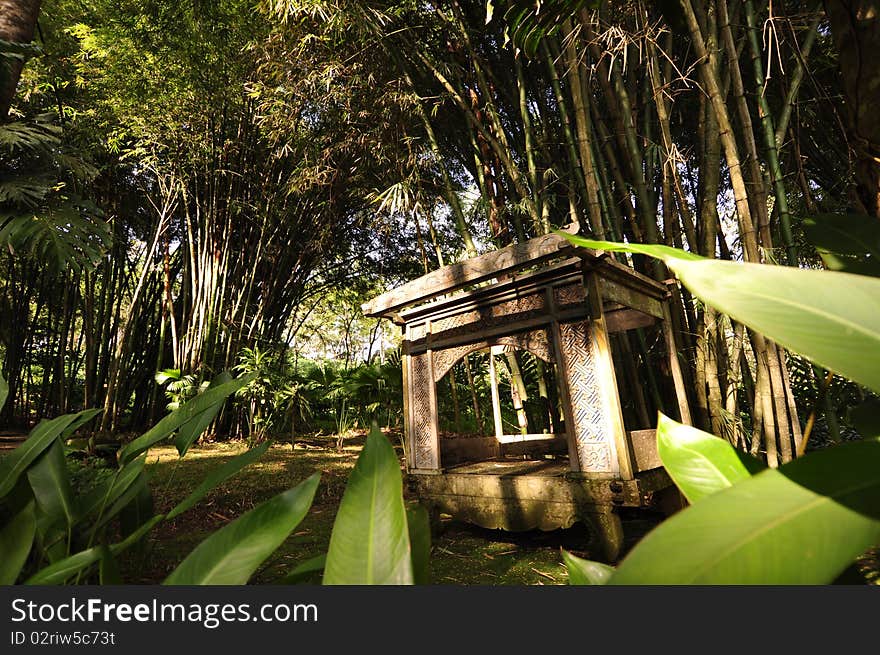 Forest And Pondok.