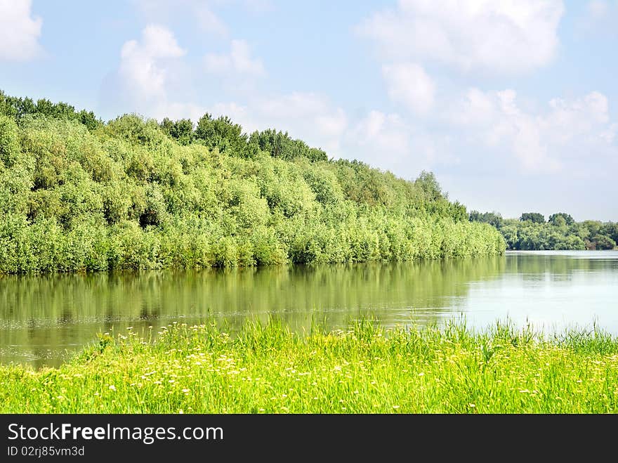 Summer landscape with forest and river