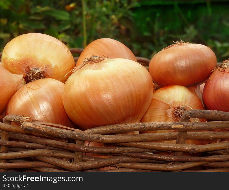 A basket of onions.