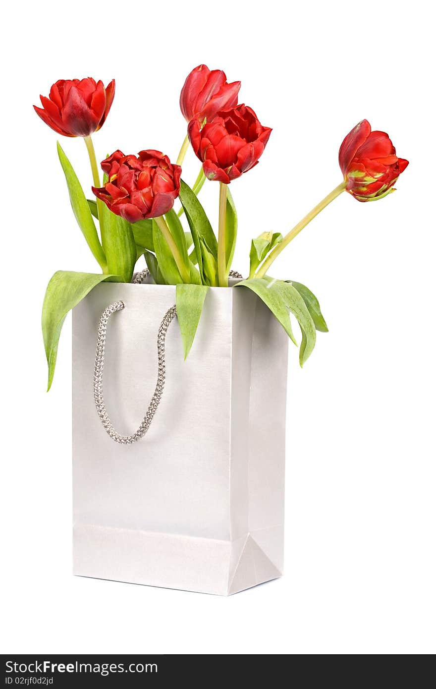 Five red tulips in silver paper bag isolated on white