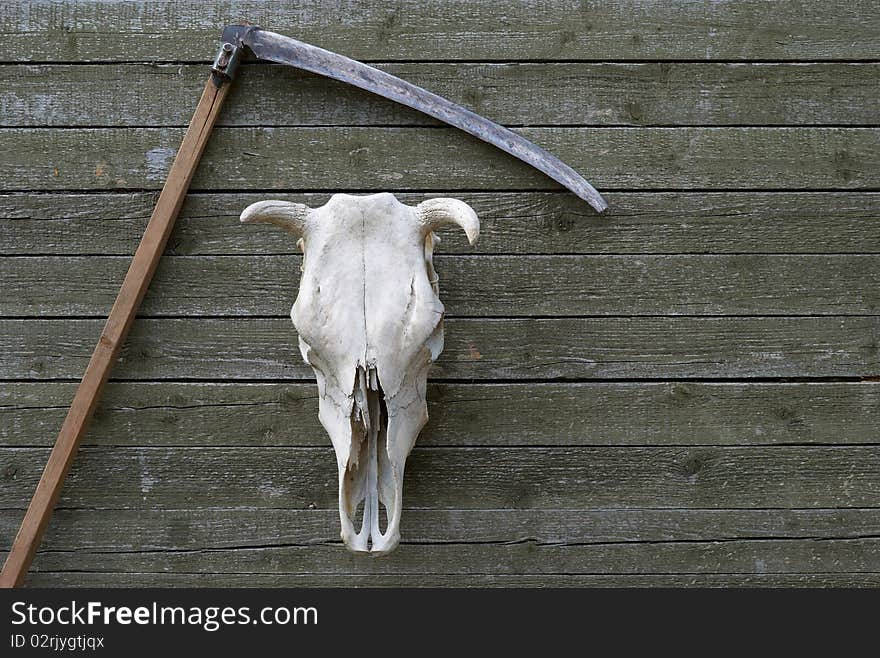 Scythe and skull hanging on the wooden wall