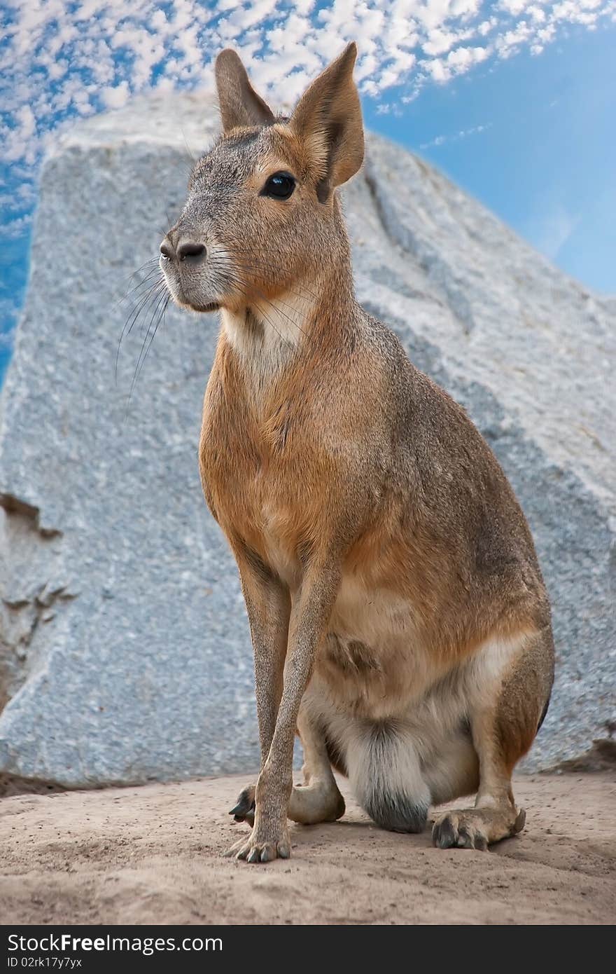 Mara sitting near stone against the sky