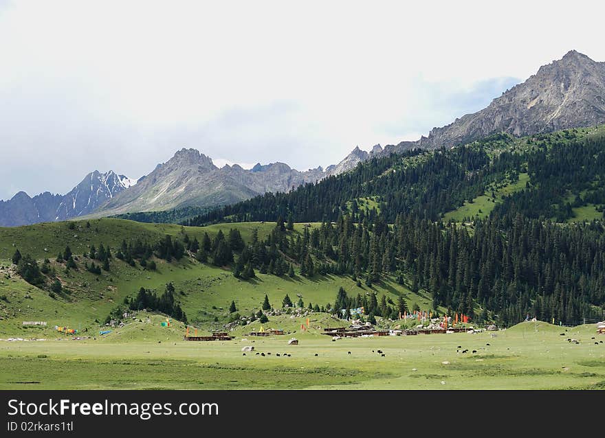 Blue sky, green grass, mountain and white clouds. Blue sky, green grass, mountain and white clouds