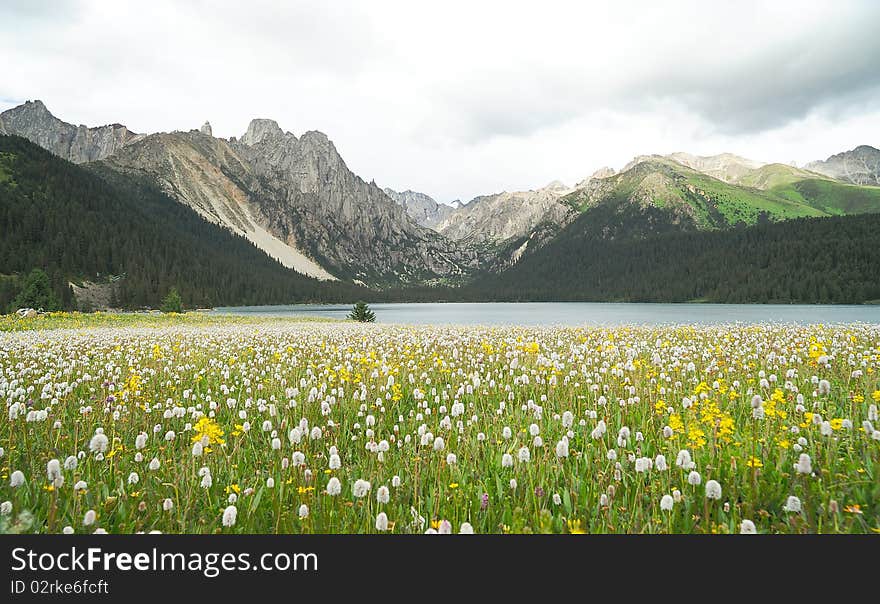 Highland lake