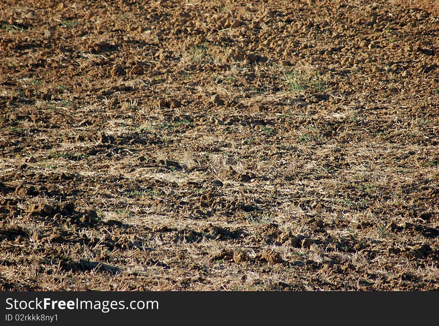 Texture Of The Agricultural Land