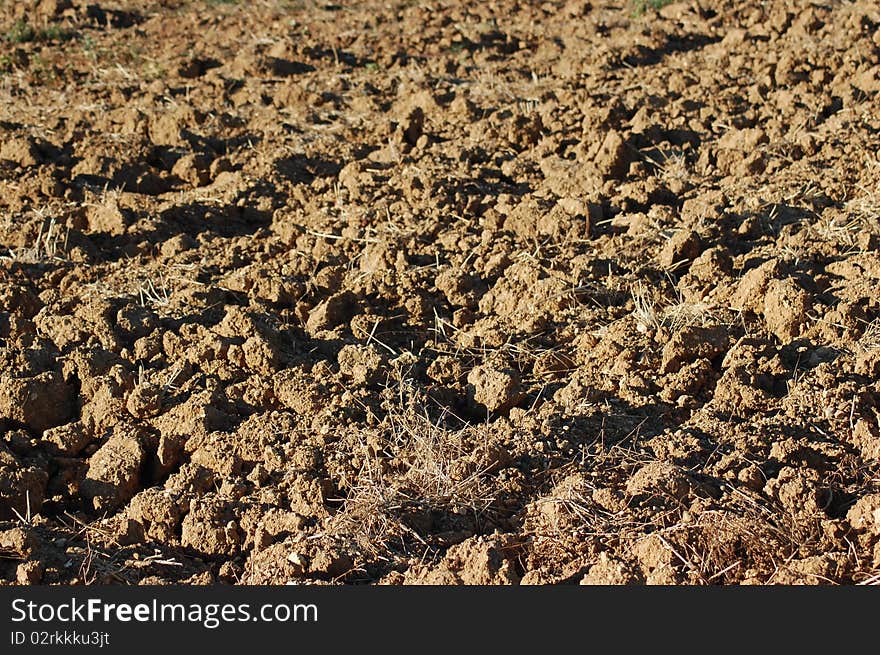 Texture Of The Agricultural Land