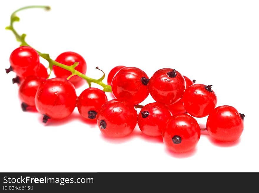 Ripe red currant isolated on white background