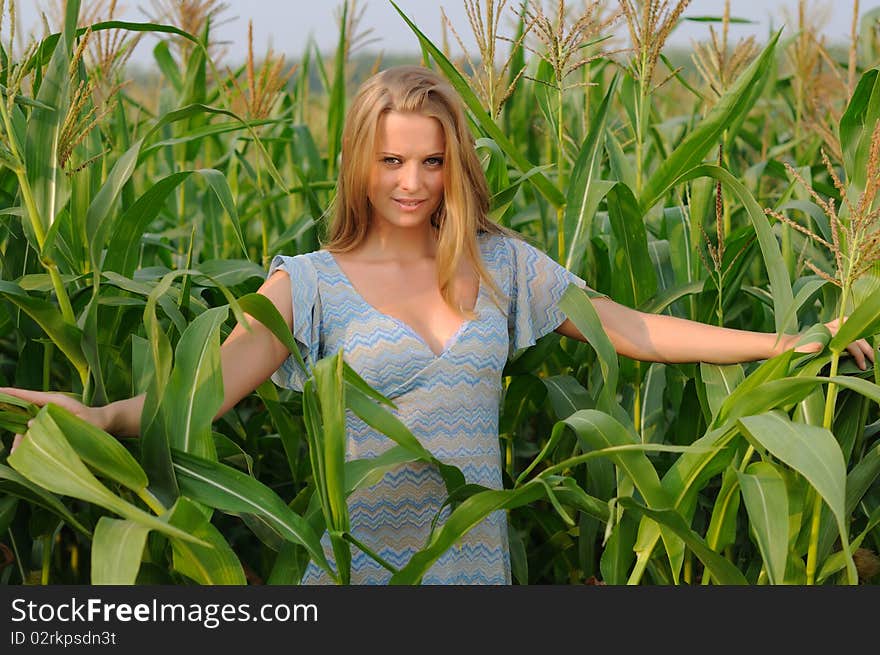 Young girl on a background of green maize and blue sky