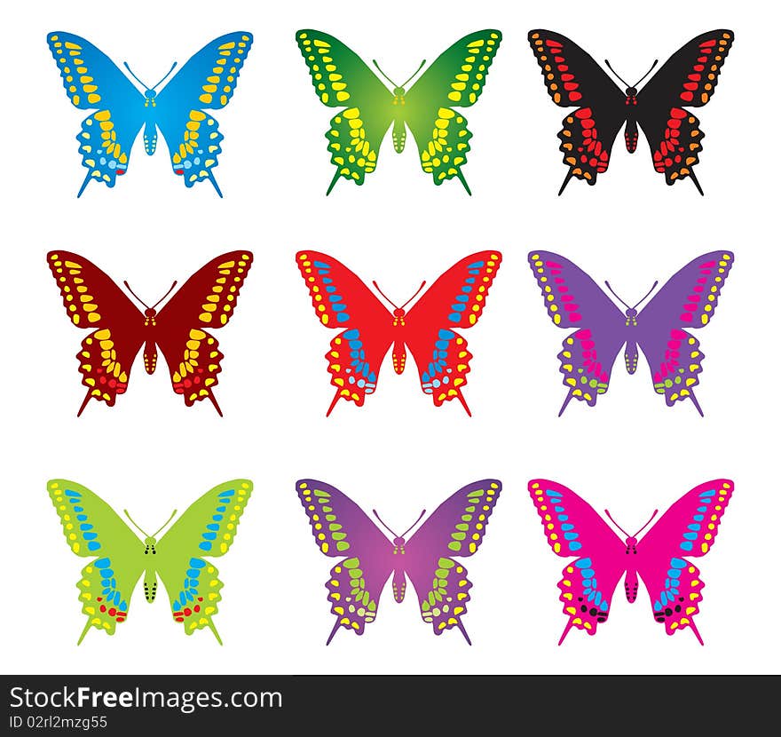 Colorful butterflies