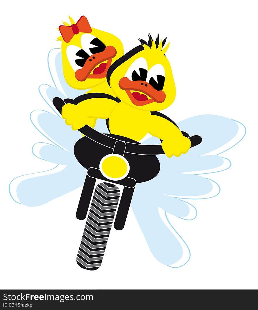 Motor duck couple riding on a motor bike. Motor duck couple riding on a motor bike