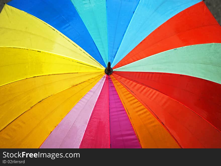 Colorful umbrella opened up in rain