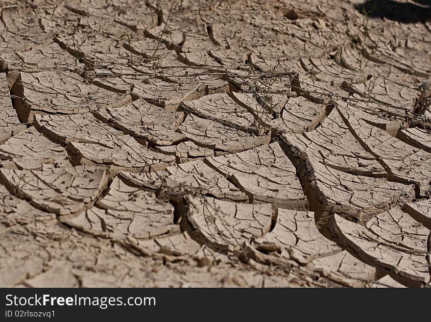 Cracked dirt, desert-like ground.  Old dried up stream.