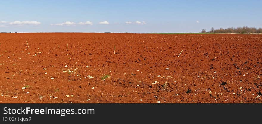 Bright red fields countryside with blue sky, a line on white fluffy clouds over the horizon, and village in the very distance; *with space for text (copyspace). Bright red fields countryside with blue sky, a line on white fluffy clouds over the horizon, and village in the very distance; *with space for text (copyspace)