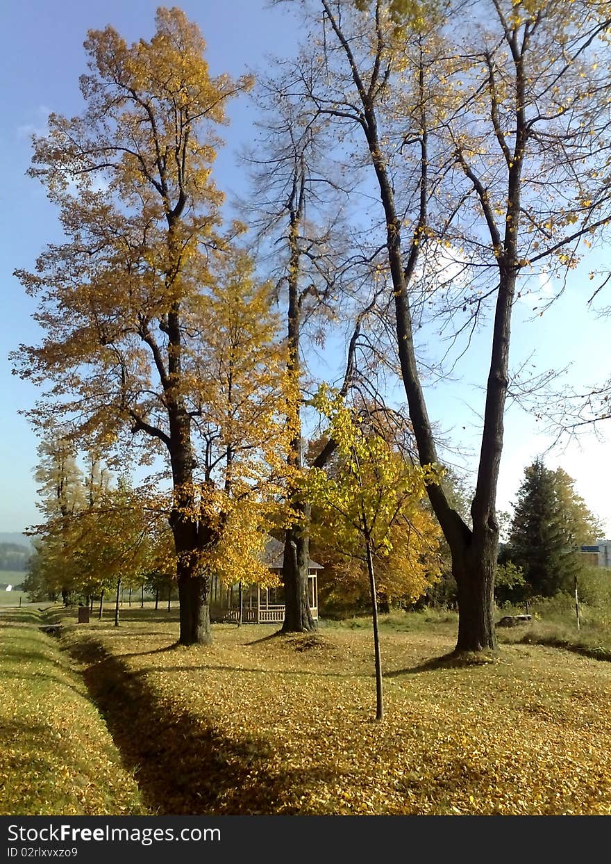 Image of a park landscape in london. Image of a park landscape in london