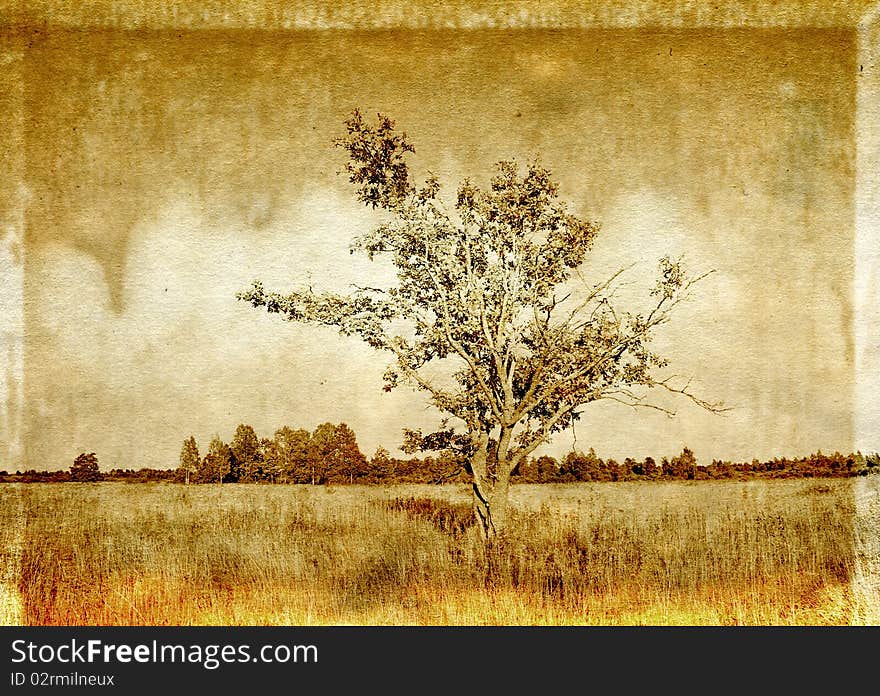 Tree oak on grunge background