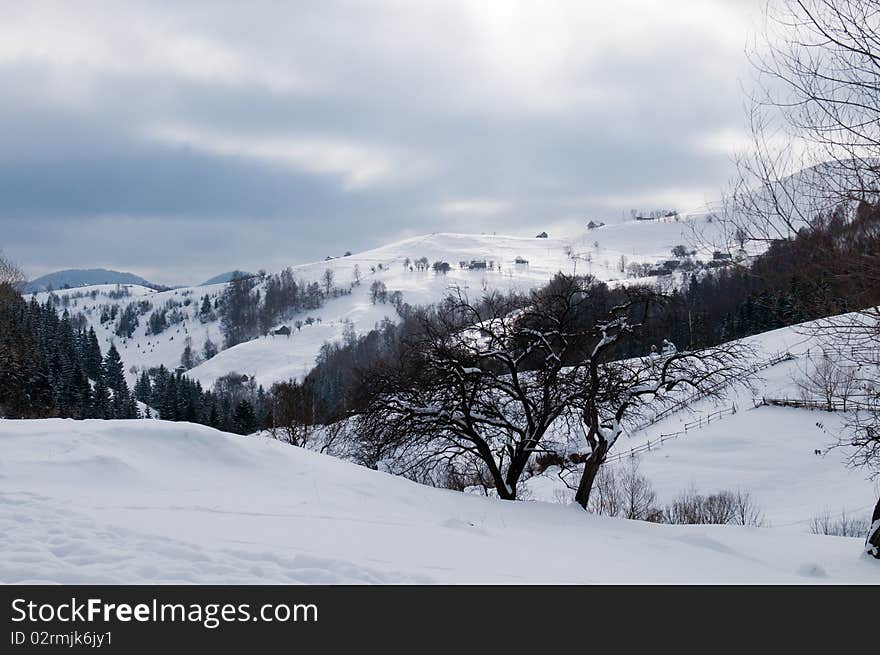 Winter Landscape in mountains with forest