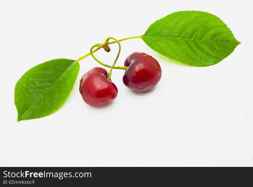 Pair of cherries were weaved by shanks in the form of heart isolated. Pair of cherries were weaved by shanks in the form of heart isolated