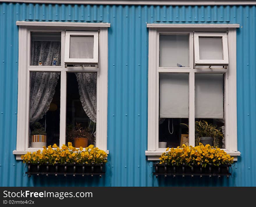 Blue wall and two windows in Reykjavik - Iceland