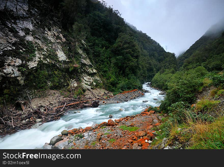 Lichen on the banks of Otira river