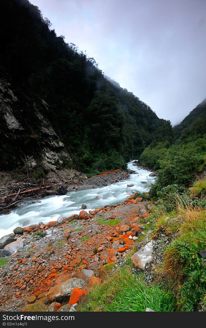 Lichen on the banks of Otira river