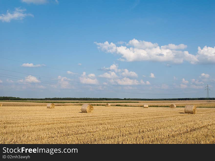 Amazing Golden Hay Bales on a perfect sunny day