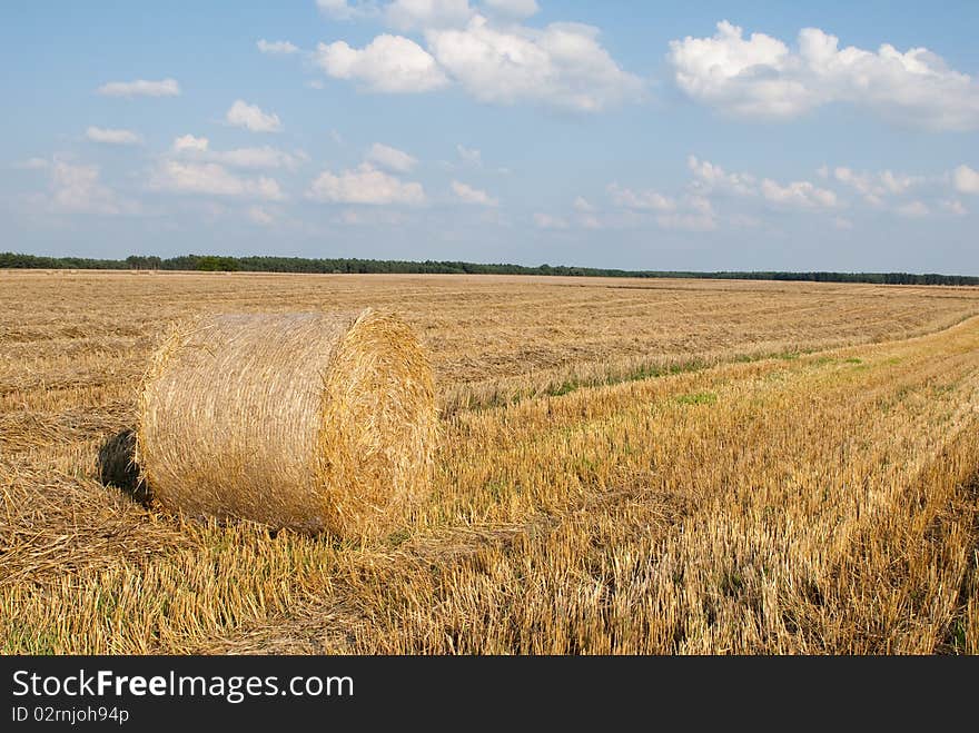 Golden Hay Bales