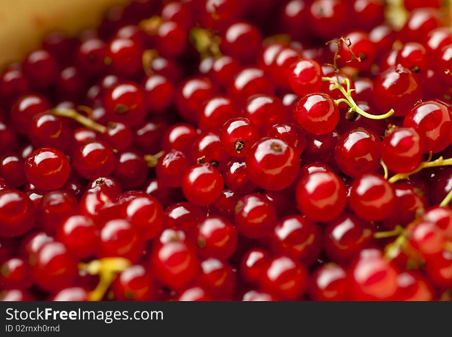 Redcurrant