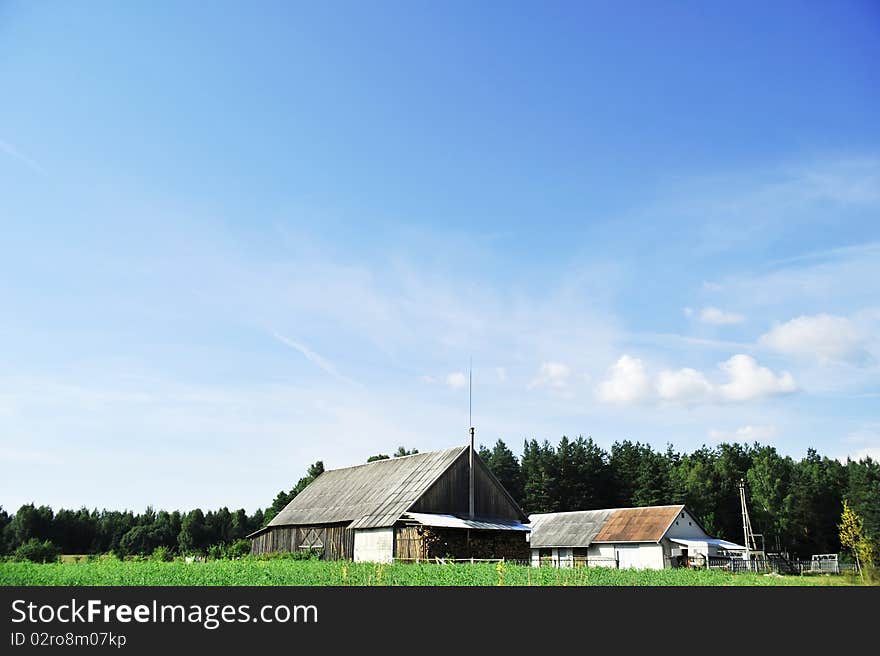 Meadow and sky. summer  landscape