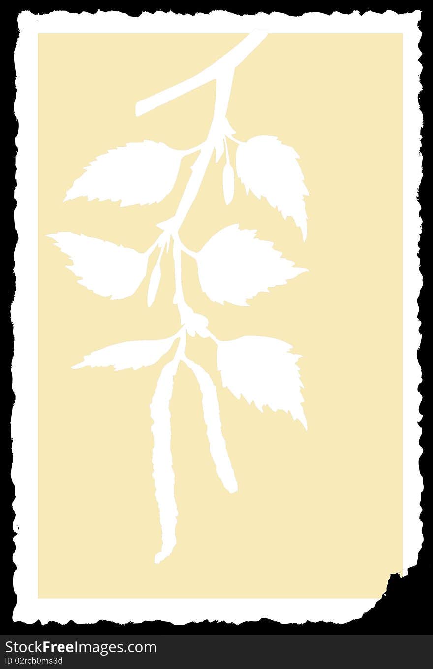 Vector drawing of the branch of the birch on torn to paper