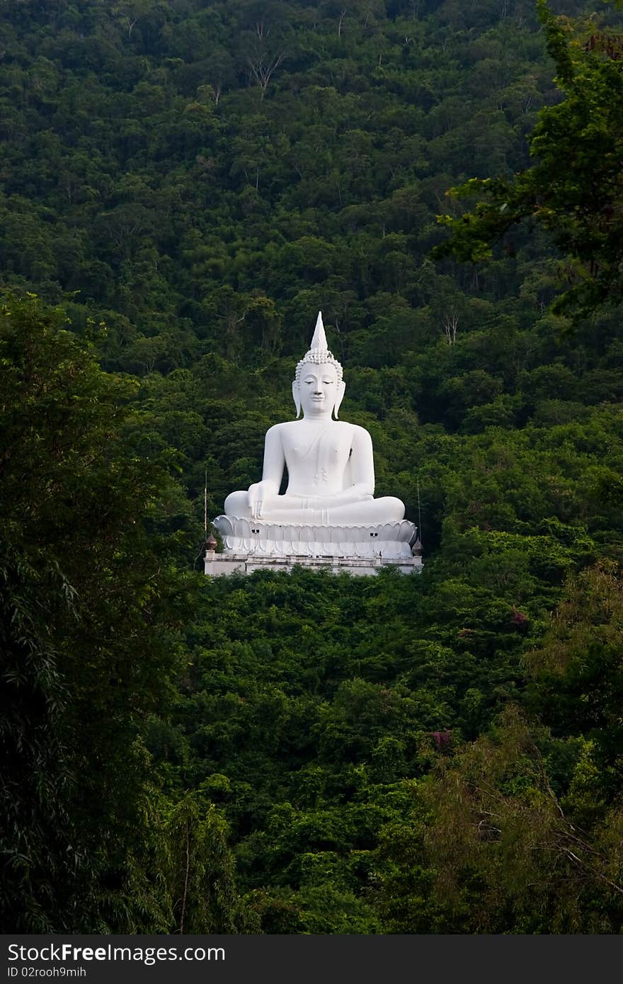 Arts Wat Thai jungle and white body. Arts Wat Thai jungle and white body