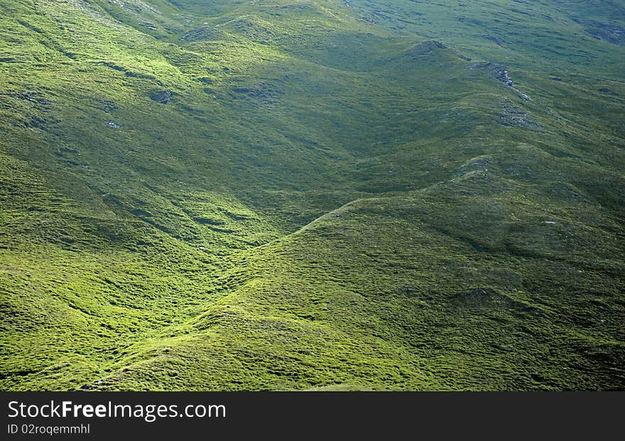 Green meadows in the alps