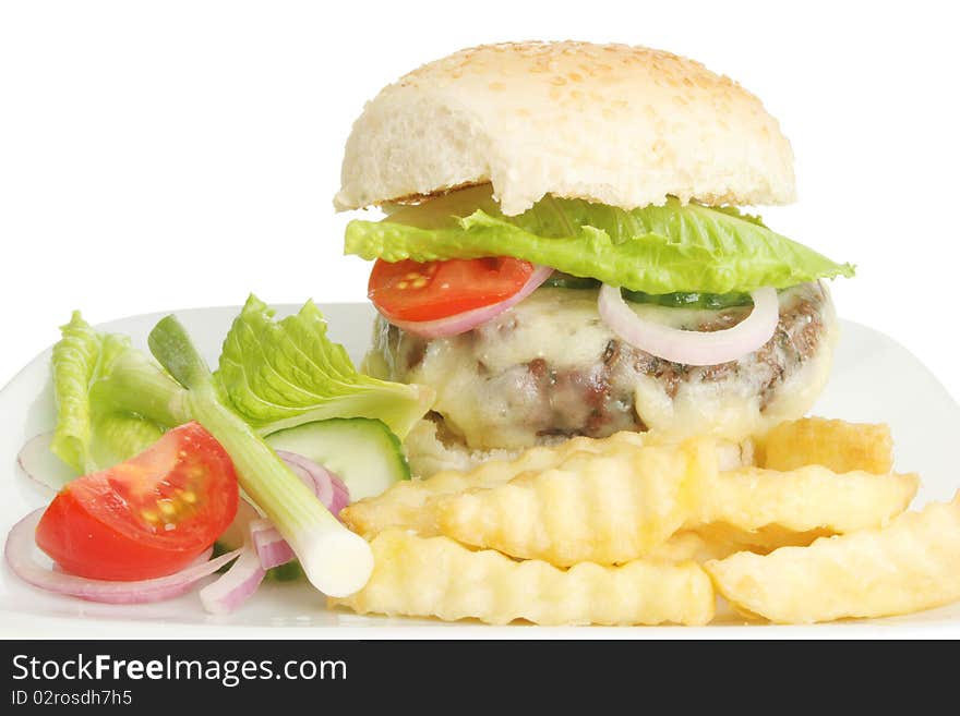 Closeup of a juicy cheese burger fries and salad. Closeup of a juicy cheese burger fries and salad