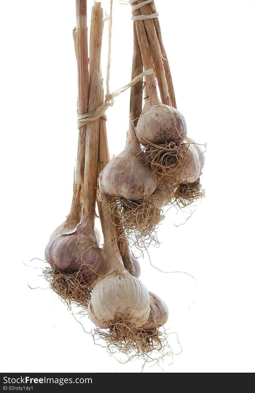 Bunch of garlic