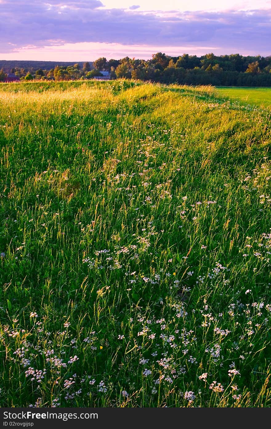 Sunset In Countryside