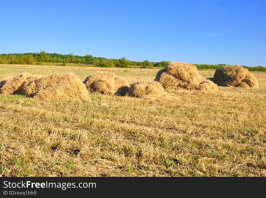 Haystack