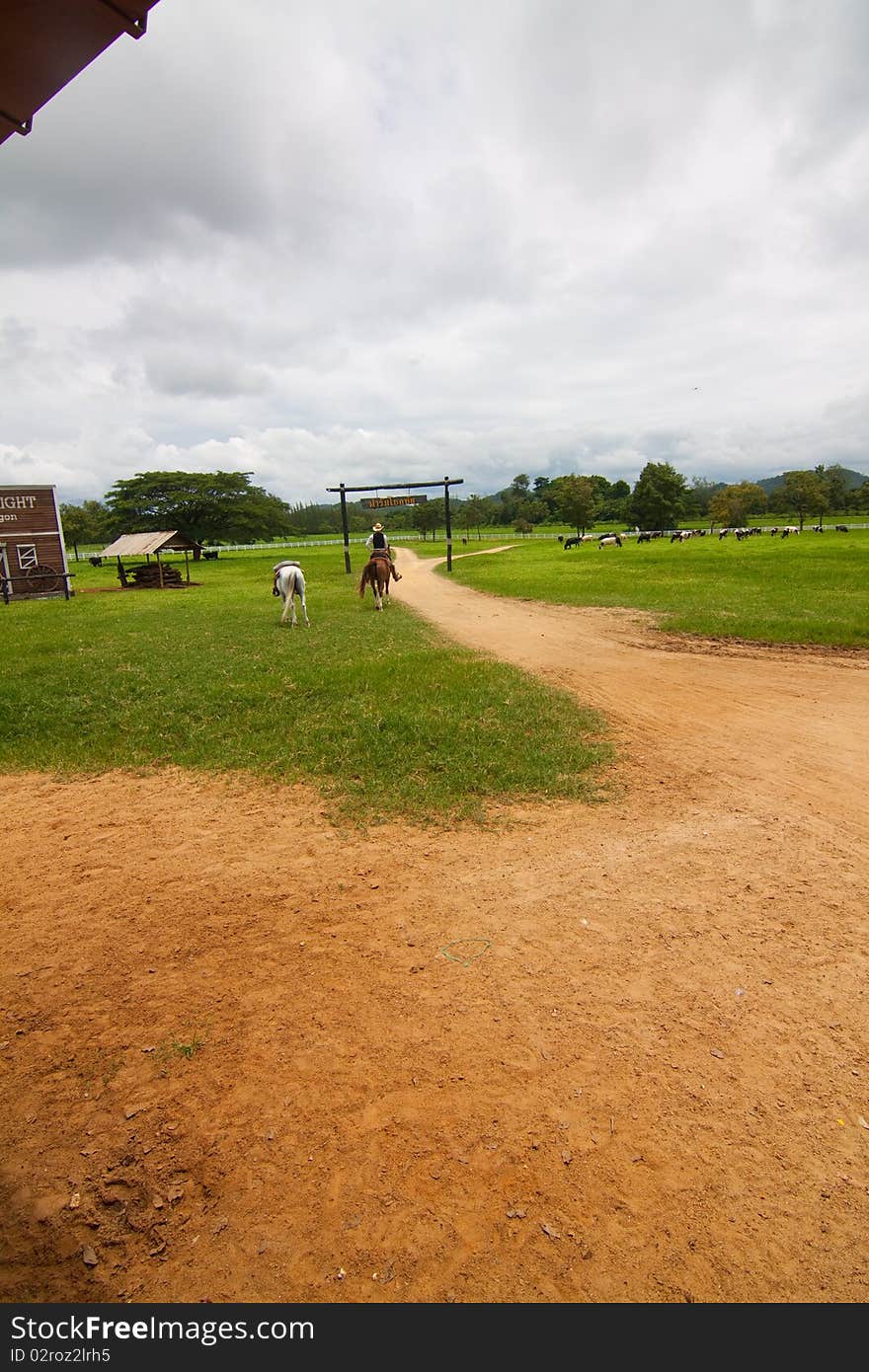 Pasture For Raising Race Horses.