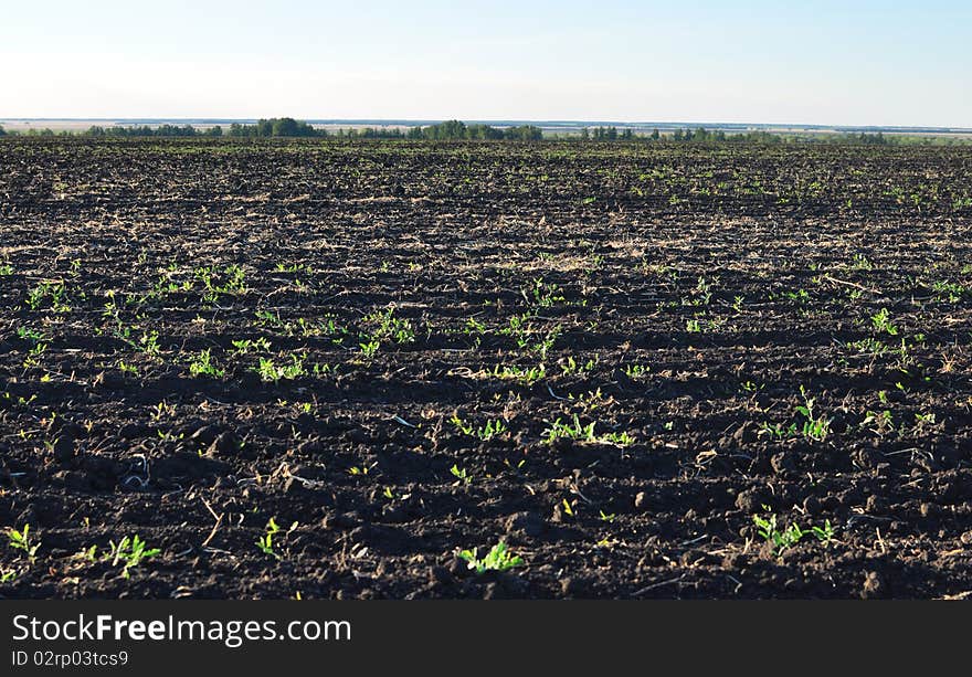 Fertile, plowed soil of an agricultural field