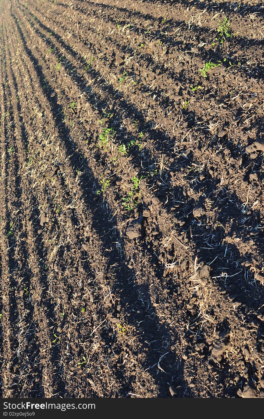 Brown, fertile, plowed soil of an agricultural field