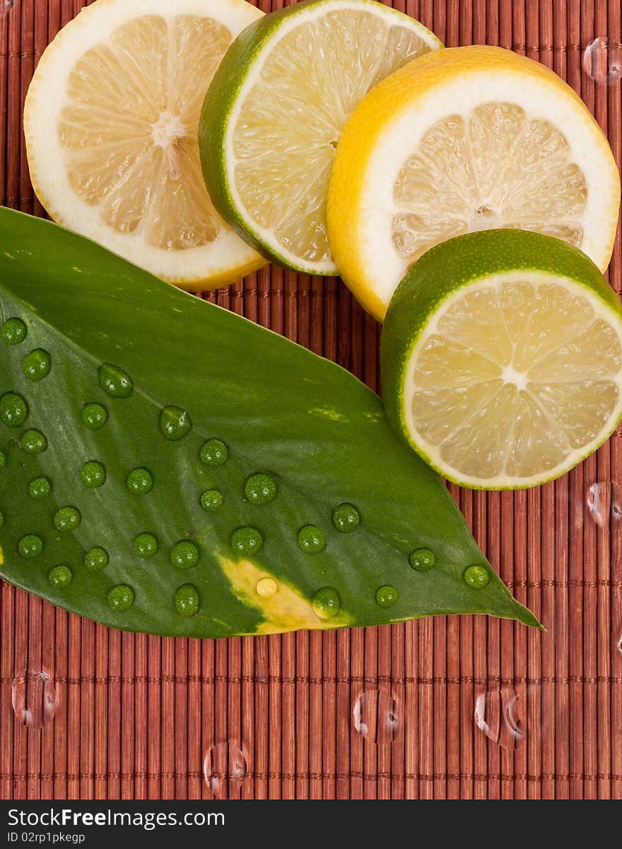 Limes and Lemon Slices with Leaf and Water Droplets